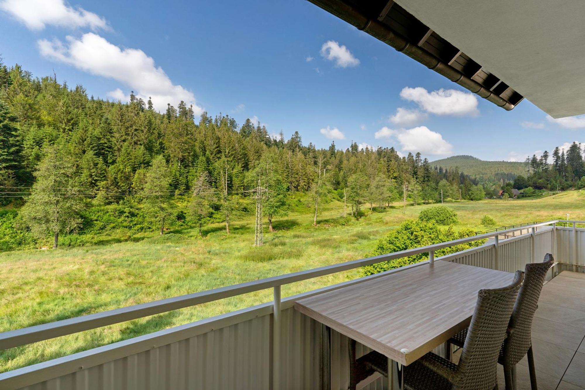 Apartmán Haus Gisela Forbach Exteriér fotografie